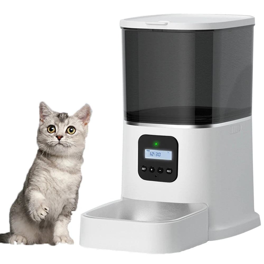 Iseebiz 3L Automatic Pet Feeder With Voice Record Pets Food Bowl For Medium Small Dog Cat LCD Screen Dispensers 4 Times One Day